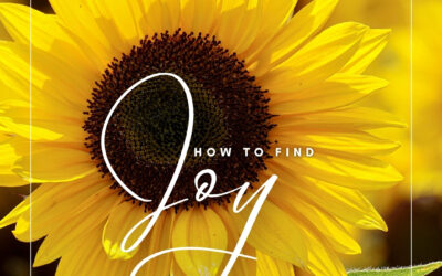 How to find joy every day